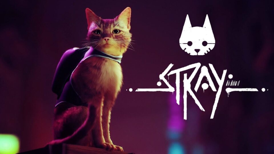 لعبة Stray تحصل على تصنيف عمري في كوريا “موعد الإصدار أقترب؟”