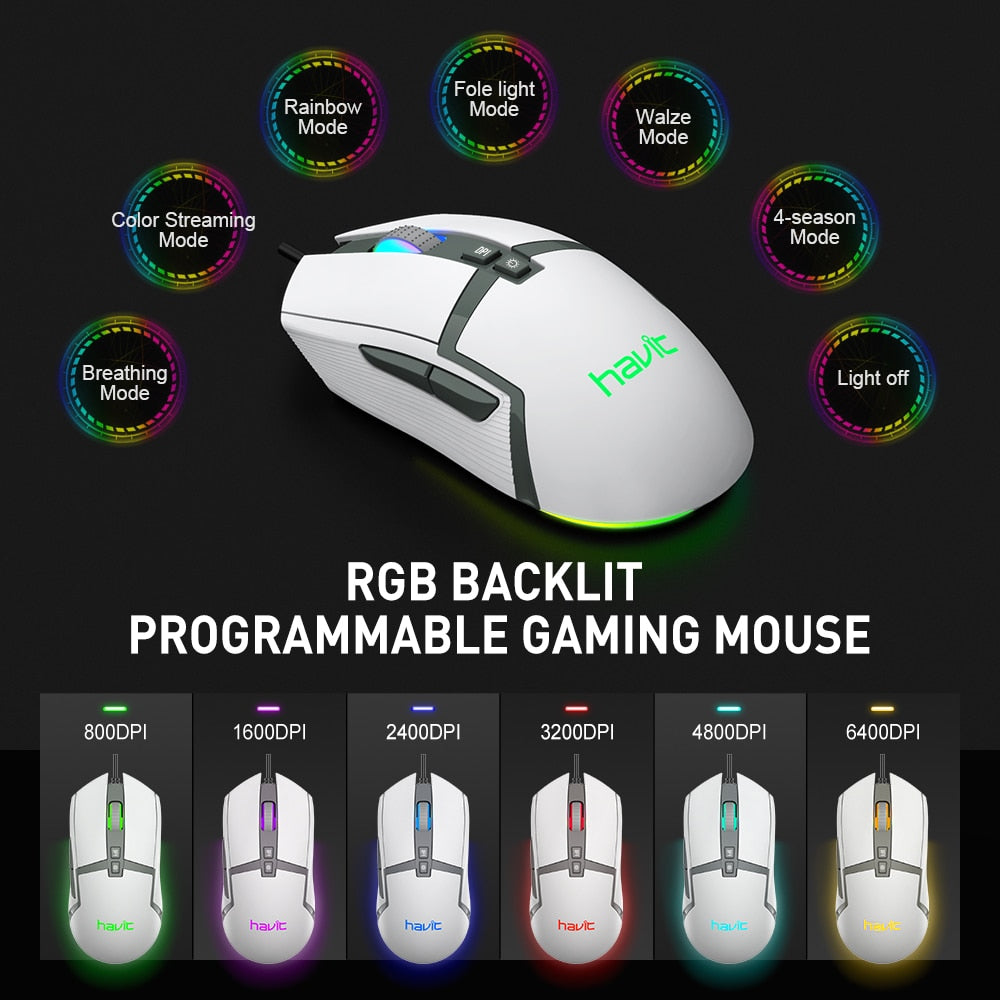 Havit MS885-Pro RGB Programmable Gaming Mouse 6000 Optical DPI 4