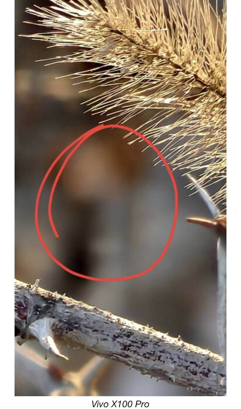 ظهور عينات لصور ملتقطة بهاتف Vivo X100 Pro